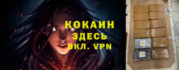 индика Бердск