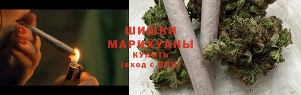 стаф Зеленокумск