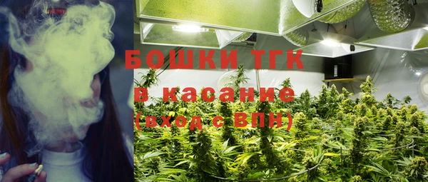 стаф Зеленокумск