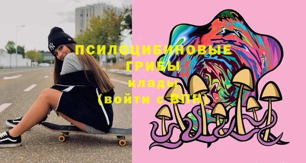 стаф Зеленокумск