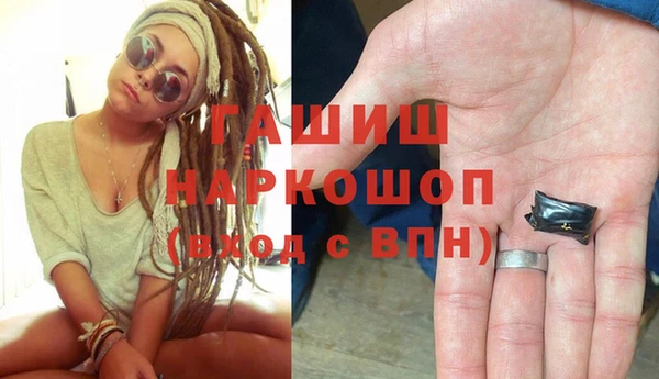 индика Бердск