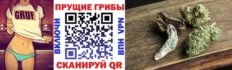 Купить где  Кувшиново  Галлюциногенные грибы GOLDEN TEACHER 